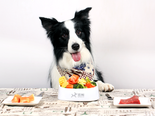 ��־��ƶ�̬ͼ�δ���